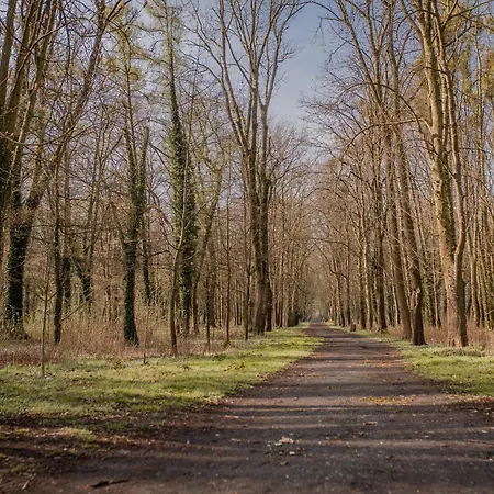 מלון - Centrum Konferencyjne מאלבורק