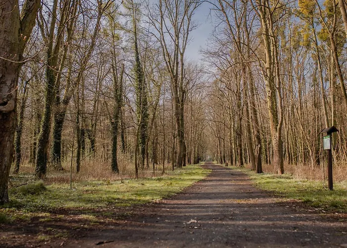 Szálloda - Centrum Konferencyjne Malbork