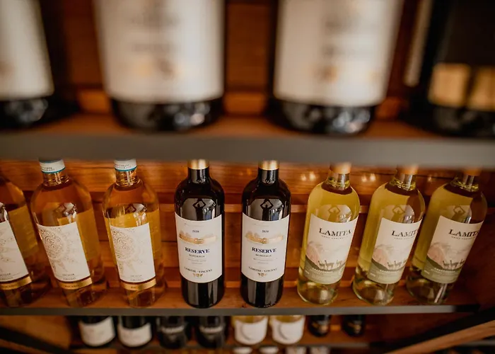 - Centrum Konferencyjne Szálloda